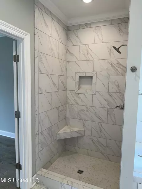 Bath - 357 Wellstone Pl, Madison, MS 39110 photo 3 of 3