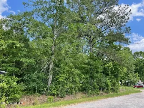 N Little River Road, Forest, MS 39074 photo 2