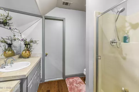 Bath - 477 Wimbledon Dr, Brandon, MS 39047 photo 8 of 8