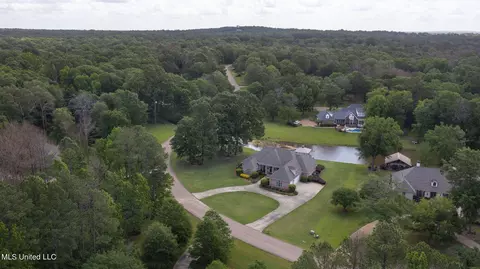 View/Area - 477 Wimbledon Dr, Brandon, MS 39047 photo 3 of 10