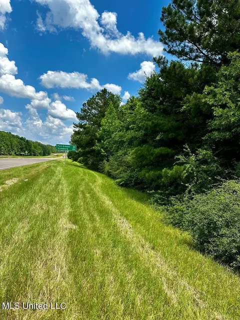 Highway 61, Fayette, MS 39069