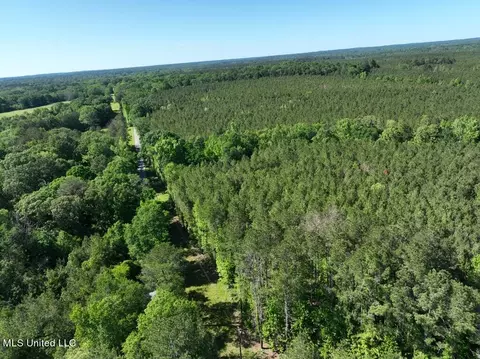 1086 Smith County Road 140, Raleigh, MS 39153
