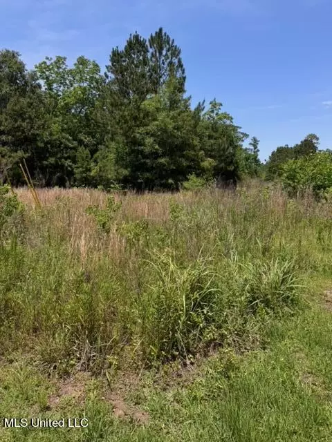 23402 Arcadia Farm Rd, Pass Christian, MS 39571 photo 6