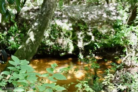 144 Amos Rhymes Rd, Lucedale, MS 39452 photo 20