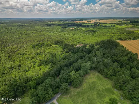 243 Rawls Rd, Perkinston, MS 39573 photo 29