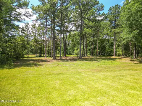 243 Rawls Rd, Perkinston, MS 39573 photo 30