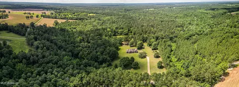 243 Rawls Rd, Perkinston, MS 39573 photo 28