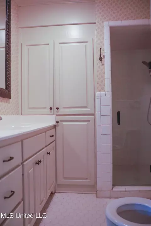 Bath - 915 Briarwood Dr, Jackson, MS 39211 photo 4 of 4