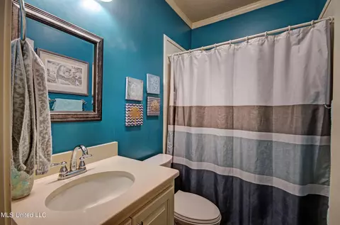 Bath - 239 E Pinebrook Dr, Brandon, MS 39047 photo 3 of 5