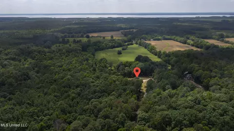 View/Area - 289 John Hill Rd, Brandon, MS 39047 photo 1 of 1