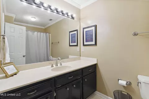 218 Azalea Cir, Madison, MS 39110 photo 12