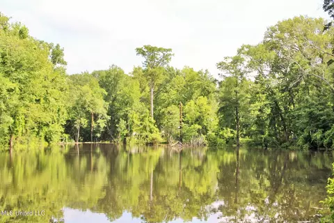 109 Hickory Ln, Lucedale, MS 39452 photo 18