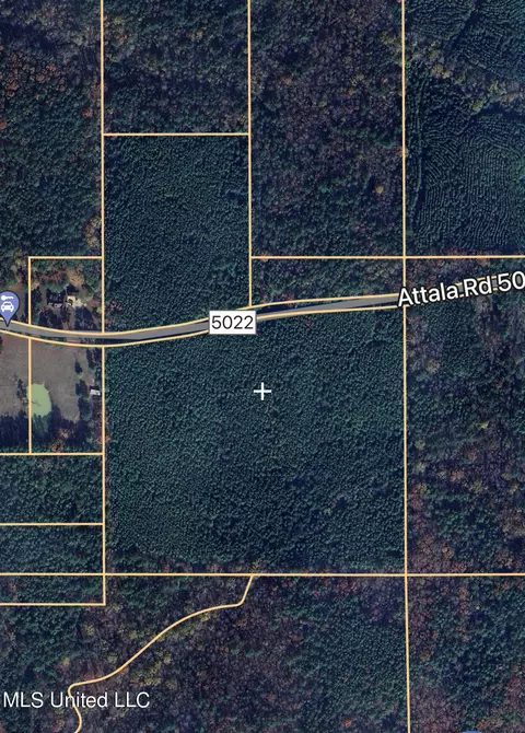 Ridge Road, Kosciusko, MS 39090 photo 6