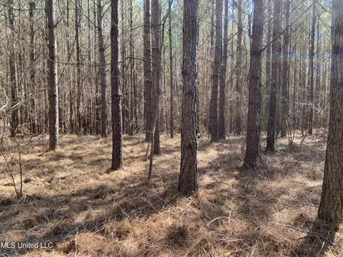 Ridge Road, Kosciusko, MS 39090 photo 3