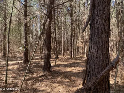 Ridge Road, Kosciusko, MS 39090 photo 2
