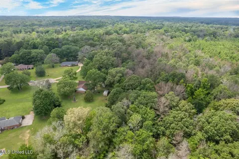 View/Area - 179 Keriville Dr, Byram, MS 39272 photo 4 of 5
