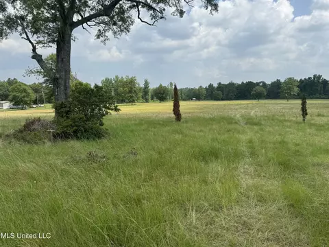 Perkinston Silver Run Rd, Perkinston, MS 39573 photo 8