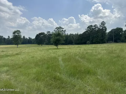 Perkinston Silver Run Rd, Perkinston, MS 39573 photo 9