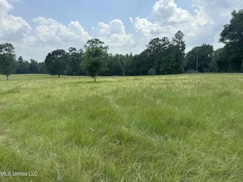 Perkinston Silver Run Rd, Perkinston, MS 39573 photo 5