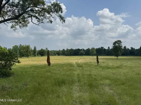 Perkinston Silver Run Rd, Perkinston, MS 39573 photo 10