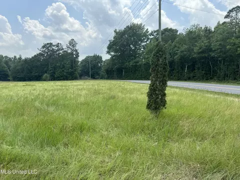 Perkinston Silver Run Rd, Perkinston, MS 39573 photo 6