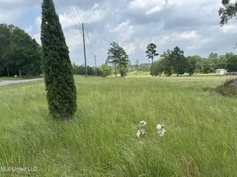 Perkinston Silver Run Rd, Perkinston, MS 39573 photo 2