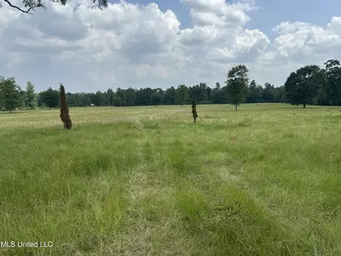 Perkinston Silver Run Rd, Perkinston, MS 39573 photo 3