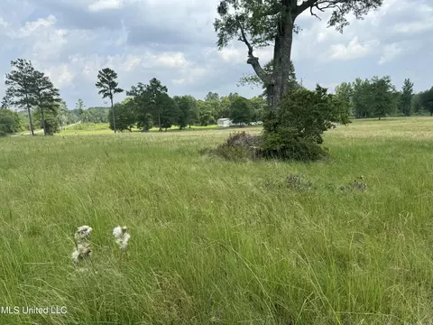 Perkinston Silver Run Rd, Perkinston, MS 39573