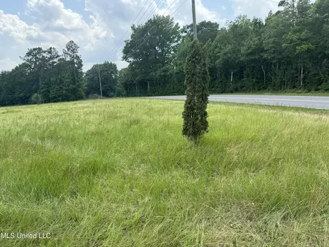 Perkinston Silver Run Rd, Perkinston, MS 39573 photo 7