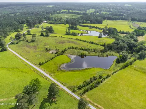 View/Area - 601 Scr 64a, Mize, MS 39116 photo 7 of 12