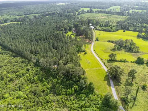 View/Area - 601 Scr 64a, Mize, MS 39116 photo 10 of 12