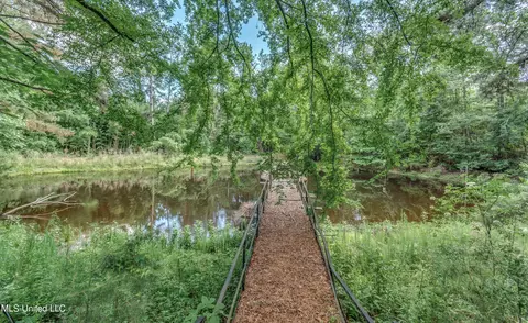 View/Area - 601 Scr 64a, Mize, MS 39116 photo 1 of 12