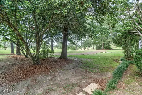Exterior - 601 Scr 64a, Mize, MS 39116 photo 25 of 25
