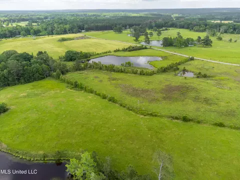 View/Area - 601 Scr 64a, Mize, MS 39116 photo 2 of 12