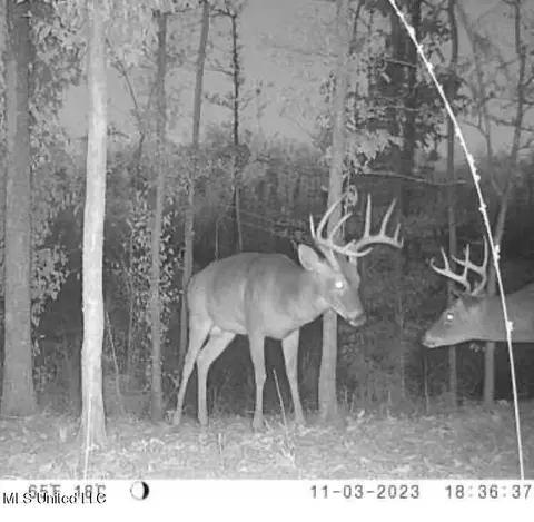 00001 Abernathy Rd, Flora, MS 39071 photo 3