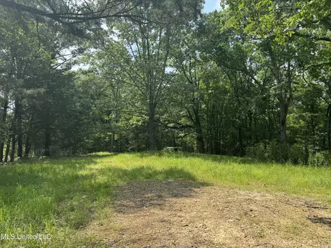 00001 Abernathy Rd, Flora, MS 39071 photo 16
