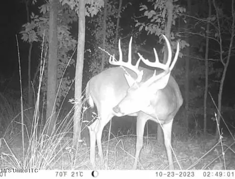 00001 Abernathy Rd, Flora, MS 39071 photo 12