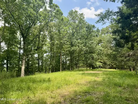 00001 Abernathy Rd, Flora, MS 39071 photo 4