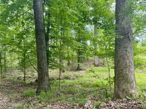 00001 Abernathy Rd, Flora, MS 39071 photo 10
