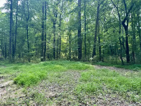 00001 Abernathy Rd, Flora, MS 39071 photo 14