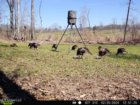 00001 Abernathy Rd, Flora, MS 39071 photo 9