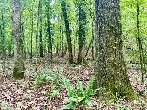 00001 Abernathy Rd, Flora, MS 39071 photo 11