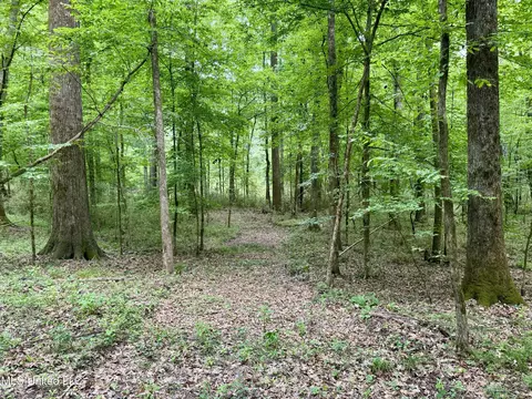 00001 Abernathy Rd, Flora, MS 39071 photo 6