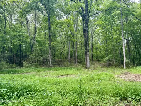 00001 Abernathy Rd, Flora, MS 39071 photo 8