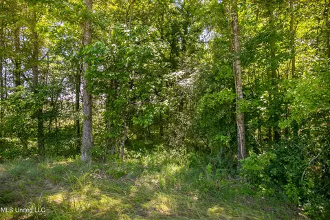 Hwy 468, Brandon, MS 39042 photo 4