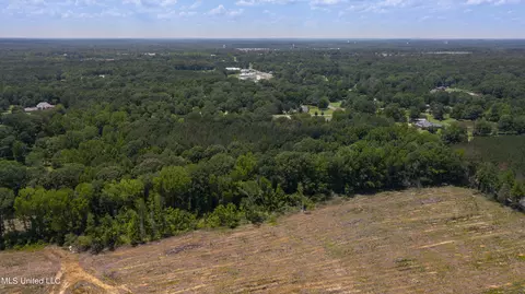 Hwy 468, Brandon, MS 39042 photo 9
