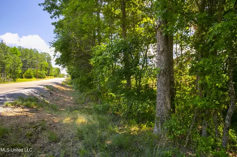 Hwy 468, Brandon, MS 39042 photo 3