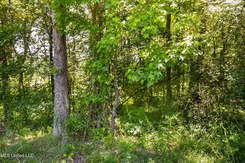 Hwy 468, Brandon, MS 39042 photo 5