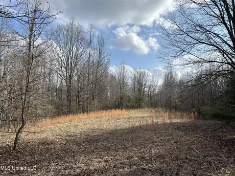Teasdale Road, Enid, MS 38927 photo 29