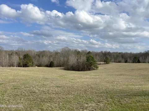 Teasdale Road, Enid, MS 38927 photo 6